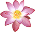 test2