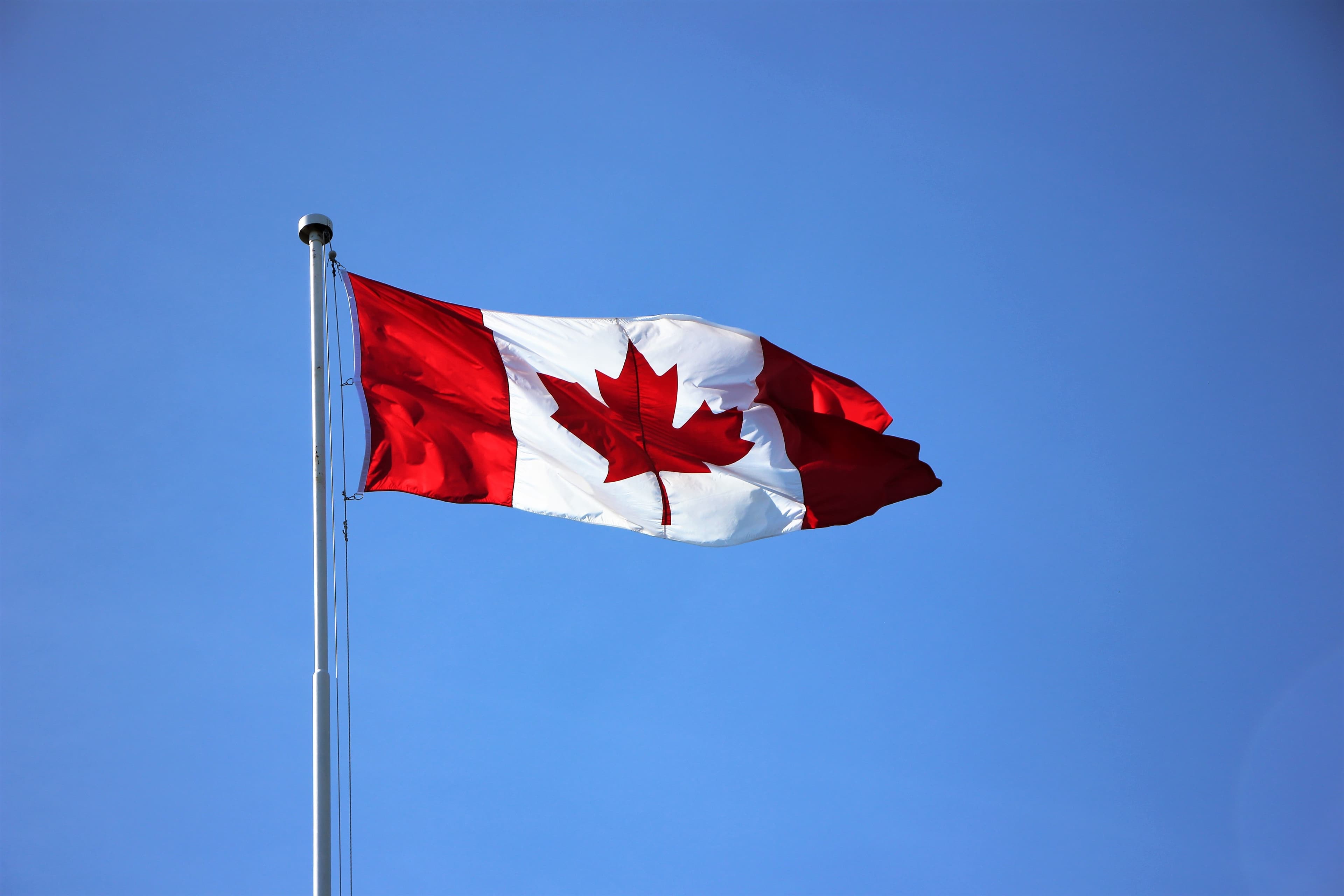 Comment le TCF Canada peut-il aider votre processus d'immigration au Canada?
