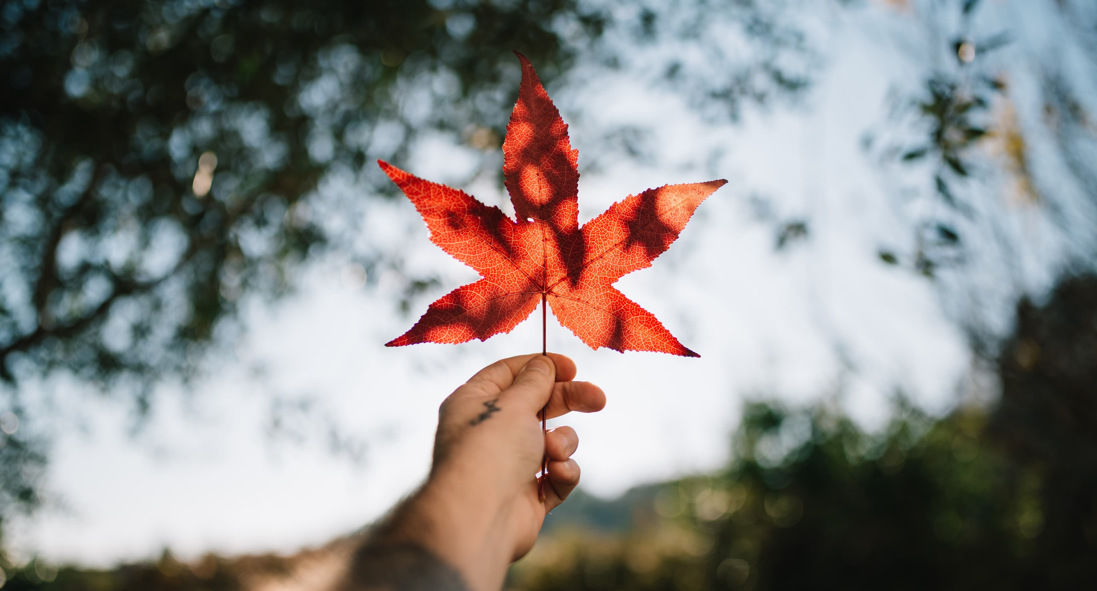Les Meilleures Villes Canadiennes pour les nouveaux arrivants